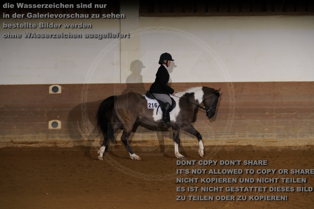 s_K3F01590.JPG